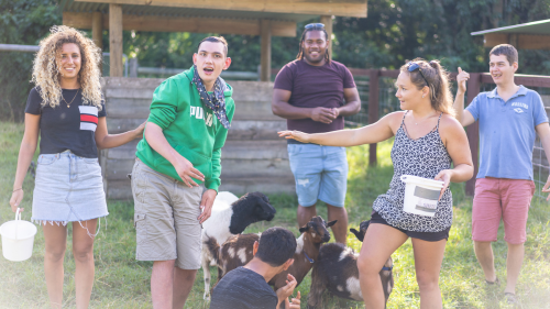 Care Farm Group